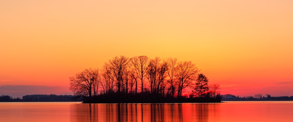Sunlight streaming through a clean, naturally furnished living room with hardwood floors and natural textiles