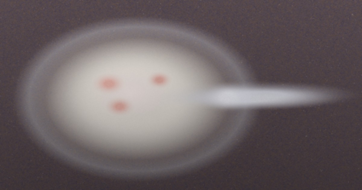 Illustrative image of a white ceramic bowl of sea salt with a silver measuring spoon on a dark textured surface, representing microplastic contamination in salt