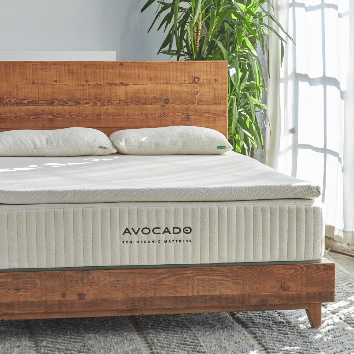 Eco Organic Latex Mattress Topper — official product photo