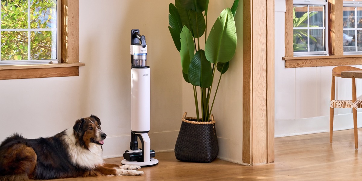 Core 300 True HEPA Air Purifier — official product photo