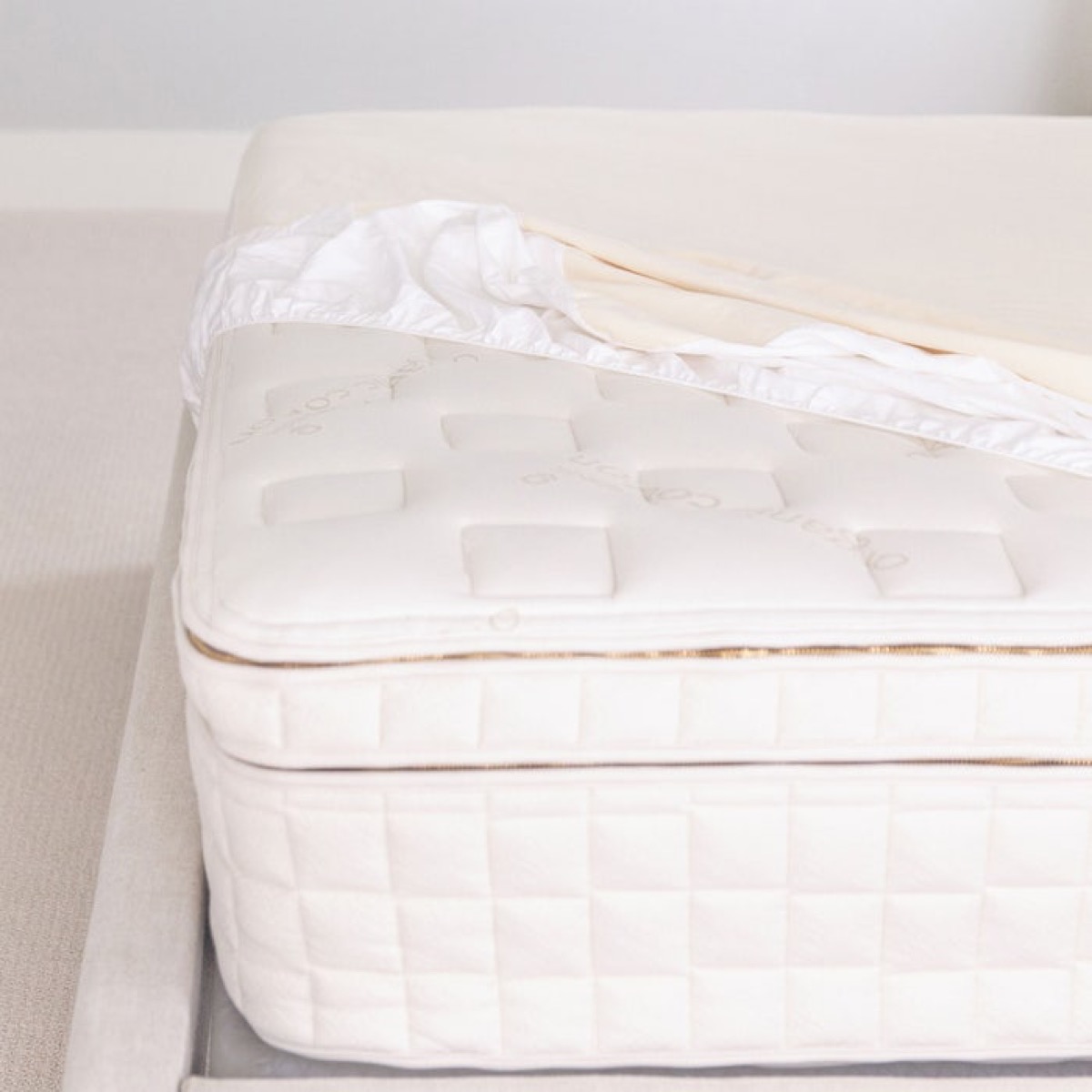 Naturepedic Organic Mattress Protector — official product photo